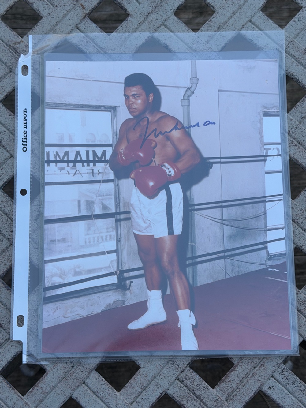 Autographed Boxing 8x10 Photo with Red Gloves